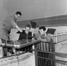 Chairman Of Stoke Albert