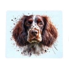 Liver Springer Spaniel Dog