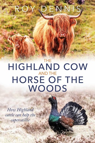 Highland cow the horse of - highland,