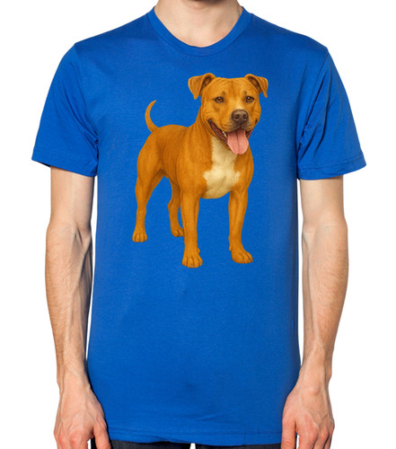 Staffordshire bull terrier - bull, dog