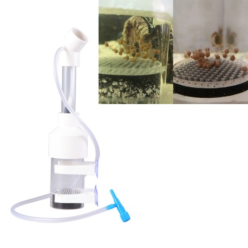 Aquarium fish incubator - aquarium,