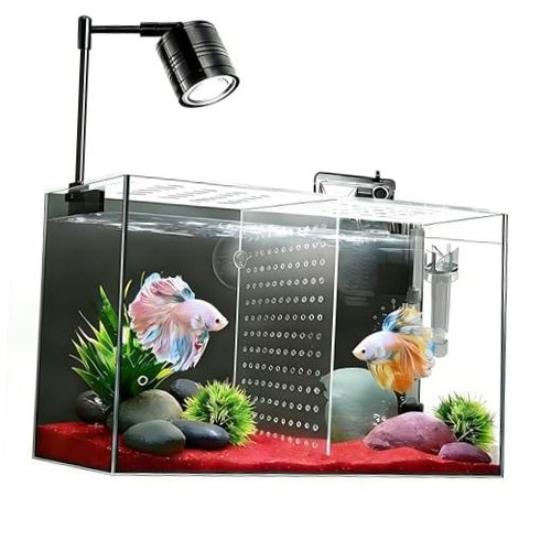 Fish tank gallon - fish, 3