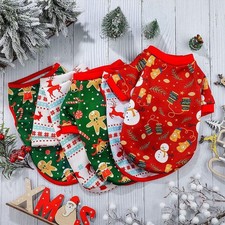 Kitten Costume Teddy Dog