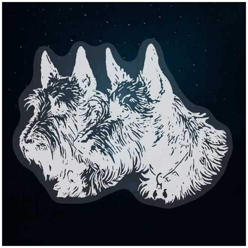 Scottish terrier couple - 'scottish, couple'