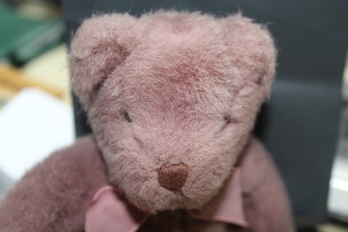 Russ teddy bear unique - unique, purple