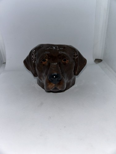 Chocolate labrador dog shaped - chocolate,