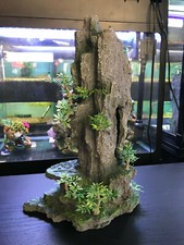 Large tall rock - large,