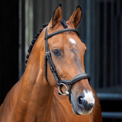 Shires lusso ergonomic - shires,