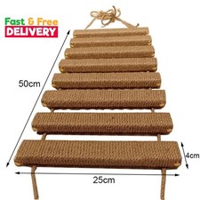 Cat climbing ladder - cat, for