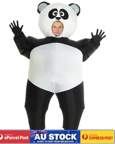 K354 panda animal - panda, adult