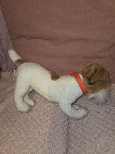 Hansa jack russell - russell, dog