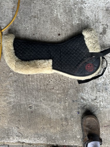 Bridleway equestrian genuine - equestrian,
