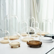 Glass Display Dome Bell Jar