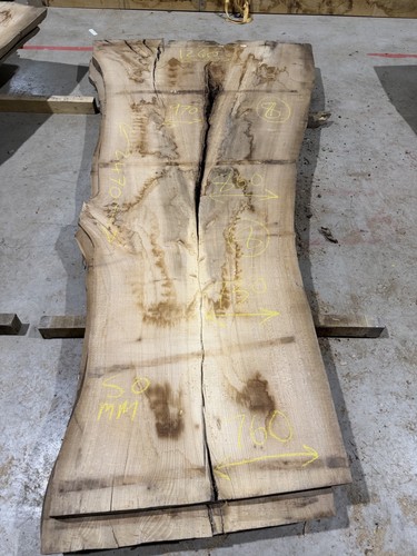 Live edge elm slab perfect - elm, slab.