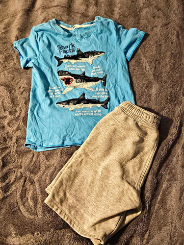 Next boys shark graphic - shark,