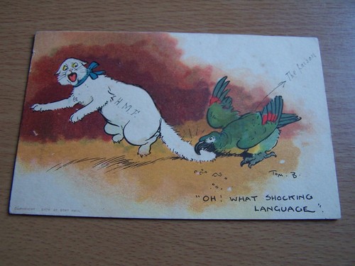 Tom browne vintage postcard - tom,