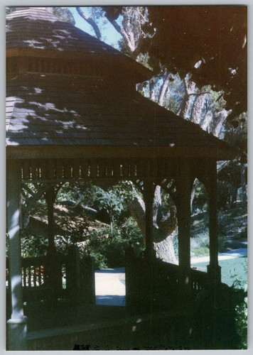 Vtg color snapshot - color,