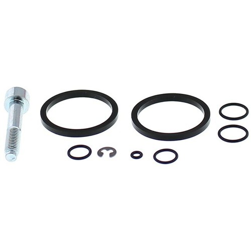 Rear caliper rebuild kit - rebuild,