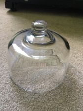 Glass dome cover cheese