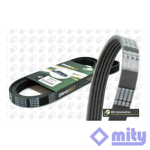 Fits 200 tf - mg,