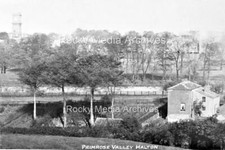 Lmn-31 Primrose Valley