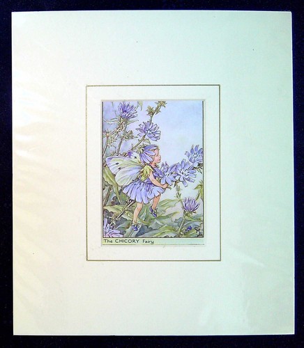 Barker cicely mary mounted - cicely,