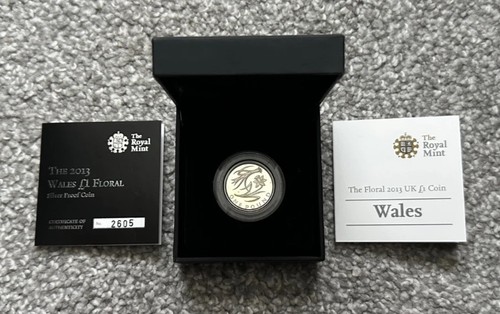 2013 one pound silver - pound,