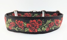 Martingale dog collar 38mm - martingale,
