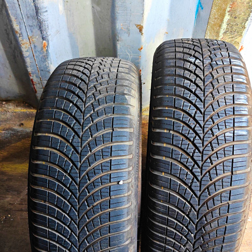 Goodyear vector seasons - vector,