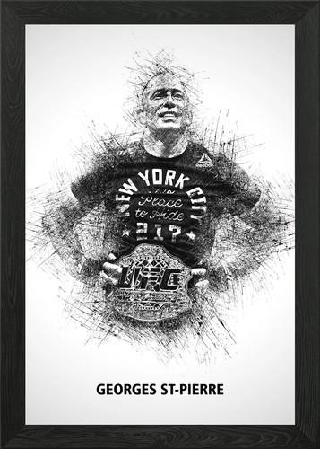 Georges pierre ufc champion - st-pierre,