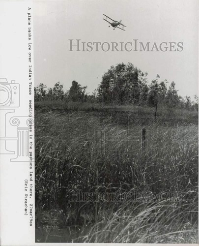 1979 press photo plane banks - photo,