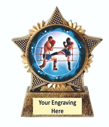 Kickboxing trophy star award - star,