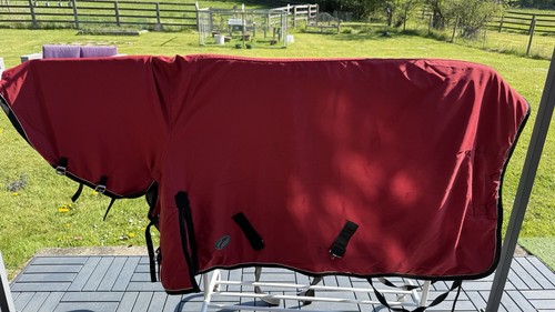Jumpers horse line - jumpers,
