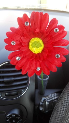 Single red gerbera daisy - daisy, car