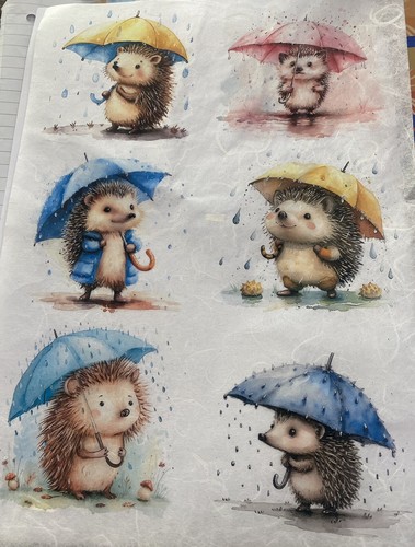 Rice paper for - rice,