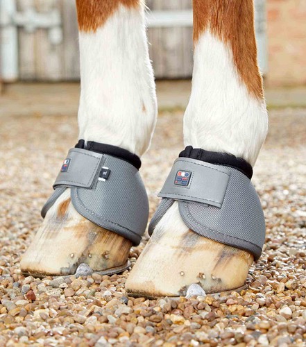 Premier equine ballistic - premier,