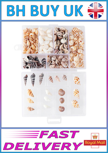 100 shells box - 100, x