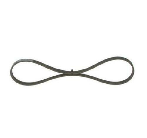 Genuine bosch ribbed belt - genuine, 1