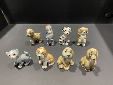 Wade TV Pets Bengo & Friends