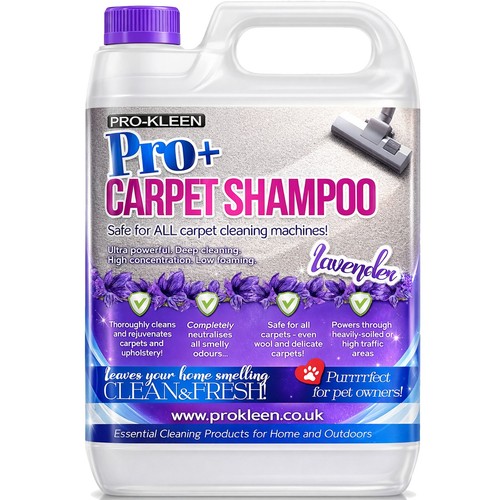 Professional carpet cleaning - professional,