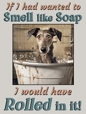 Lurcher Greyhound Whippet pet