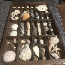 Vintage Hamilton Printers