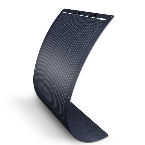 Renogy 100w flexible - renogy,