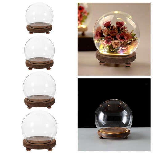 Clear glass dome display - dome,