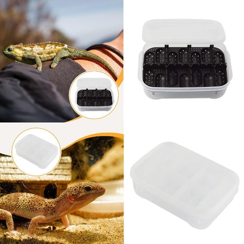 Reptile breeding box - box, egg
