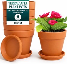 Pack terracotta plant - 6,