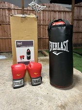 Everlast Junior 2 Ft Punch Bag