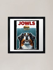 Funny Bernese Mountain Dog and