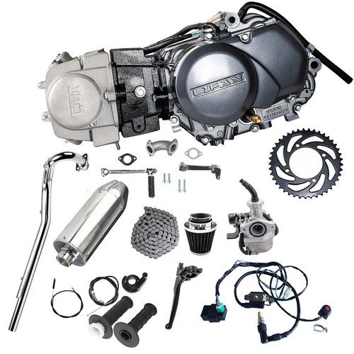 Lifan 125cc kick start - start, engine