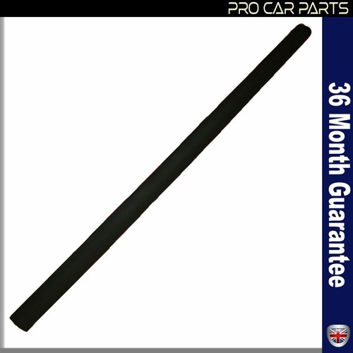 Door panel trim moulding strap - trim,